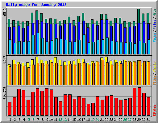 Daily usage for January 2013