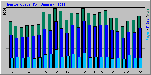 Hourly usage for January 2009