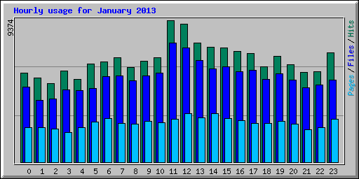 Hourly usage for January 2013