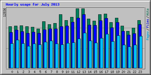Hourly usage for July 2013